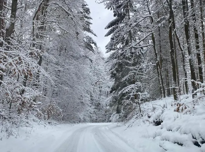 לינה וארוחת בוקר Rasmus